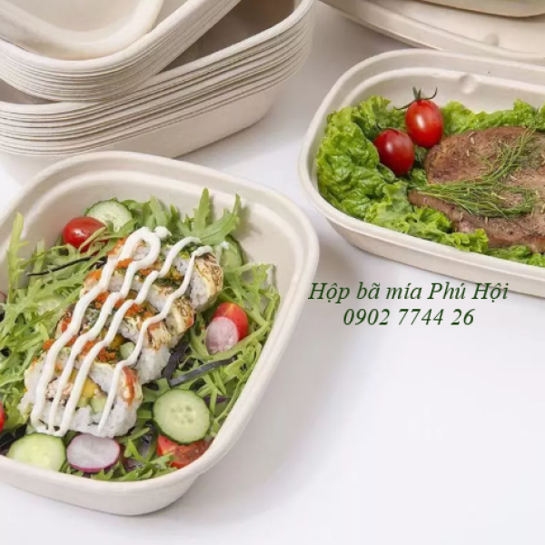 Hộp bã mía 1 ngăn to nắp nhựa PET 850ml